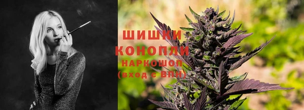 a pvp Аркадак