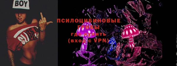 дживик Армянск