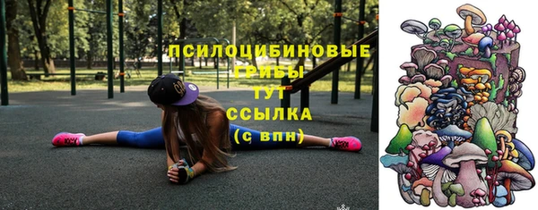 дживик Армянск