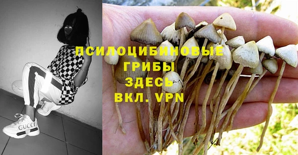 a pvp Аркадак