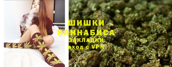 a pvp Аркадак