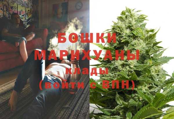 a pvp Аркадак