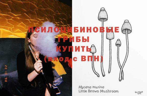 дживик Армянск