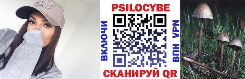 Псилоцибиновые грибы прущие грибы где можно купить Верея