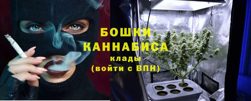 Каннабис индика  цена   Верея 